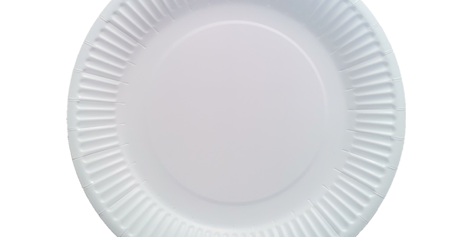 Talerz White XL